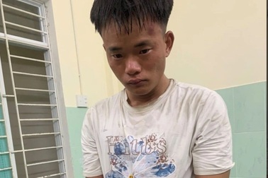 Khống chế đối tượng "ngáo đá" phá hoại tài sản người dân