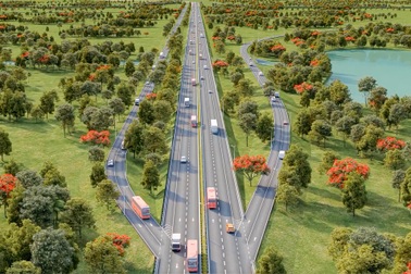 Có dấu hiệu trồng cây để lợi dụng chính sách bồi thường ở dự án nghìn tỷ