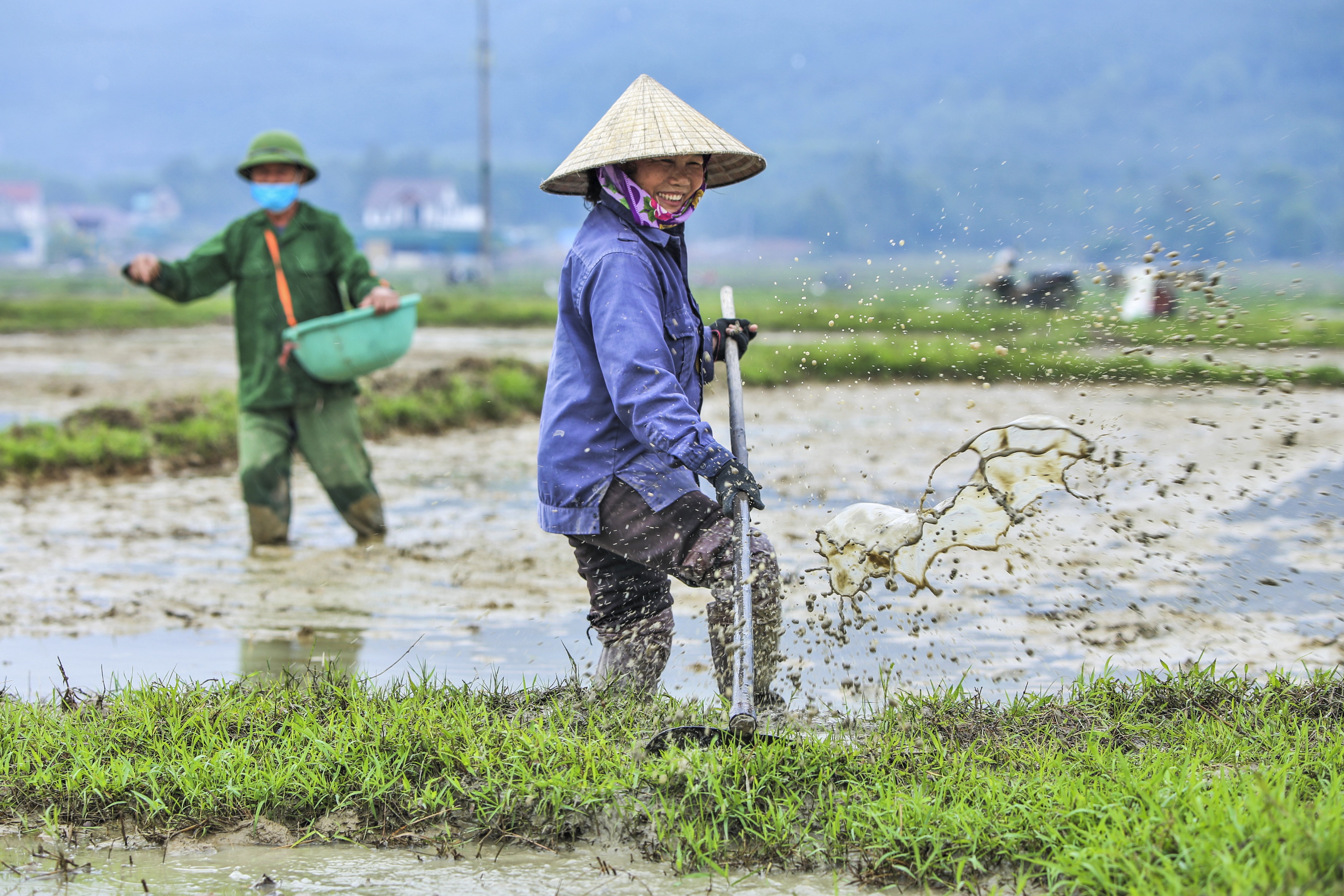 Nụ cười vụ lúa mới