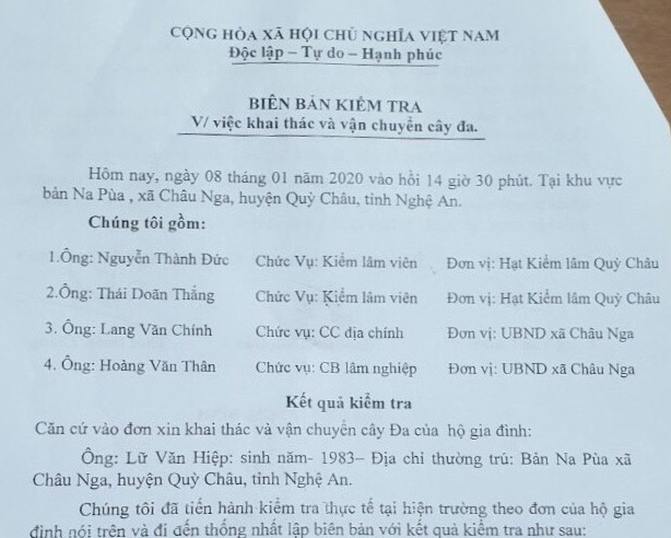 Vụ cây “quái thú”: Cây của dân, do dân bán? - 3 Vụ cây “quái thú”: Cây của dân, do dân bán? - 3