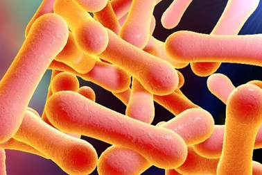 3 ca mắc bạch hầu tử vong, Bộ Y tế chỉ đạo khẩn