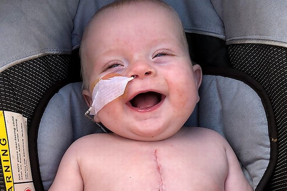 Cứu sống bé trai 5 tháng tuổi nhờ trái tim bê - 1