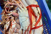 35.000 đồng/con cua "mềm từ đầu tới chân", khóc cười mua hải sản online