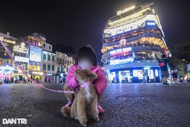 Hà Nội cấm dắt thú cưng, mang loa kéo vào phố đi bộ Hồ Gươm