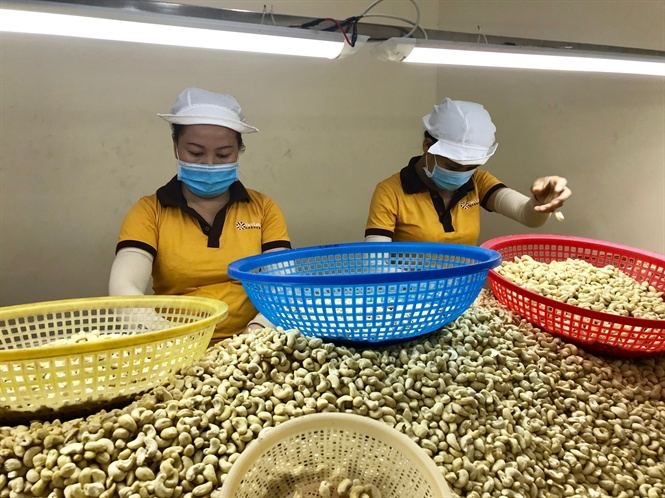 4 công ty xuất khẩu nghi bị lừa: Bóc trần rủi ro phương thức thanh toán - 1 4 công ty xuất khẩu nghi bị lừa: Bóc trần rủi ro phương thức thanh toán - 1