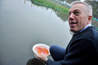 Đại sứ Mỹ thả cá chép tiễn Táo quân về trời