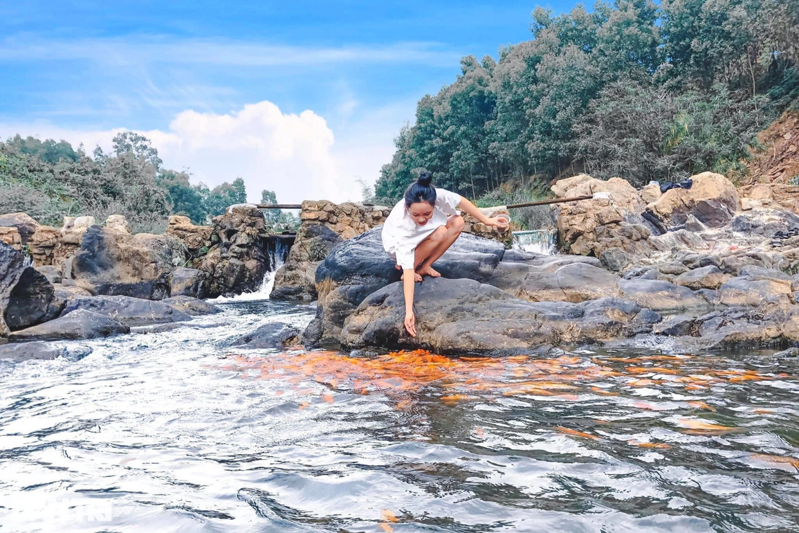 Chiêm ngưỡng dòng suối cá vàng độc đáo ở miền Tây xứ Nghệ - 4 Chiêm ngưỡng dòng suối cá vàng độc đáo ở miền Tây xứ Nghệ - 4