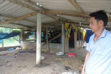 Điêu đứng, trắng tay sau lũ kép