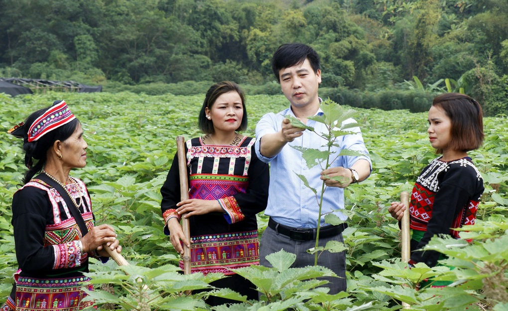 Quan điểm của Chủ tịch Hồ Chí Minh về bản lĩnh chính trị của Đảng cách mạng - 3 Quan điểm của Chủ tịch Hồ Chí Minh về bản lĩnh chính trị của Đảng cách mạng - 3