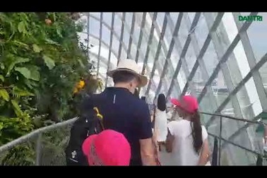 Du khách mê mẩn với "khu vườn trên mây" ở Singapore