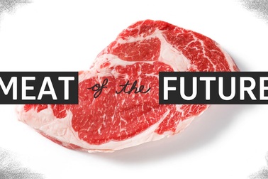 Thịt “nuôi cấy”: Chay hay mặn?