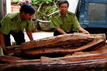 Bắt xe tải chở trái phép 21,6m3 gỗ hương
