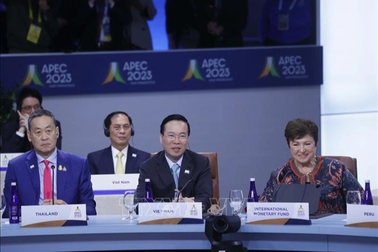 Khẳng định vị thế Việt Nam trong APEC