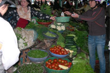 Mưa kéo dài, rau xanh tăng giá mạnh