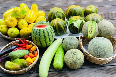 Mẹ Việt tự cuốc đất trồng rau, làm vườn hữu cơ  tại Hàn Quốc