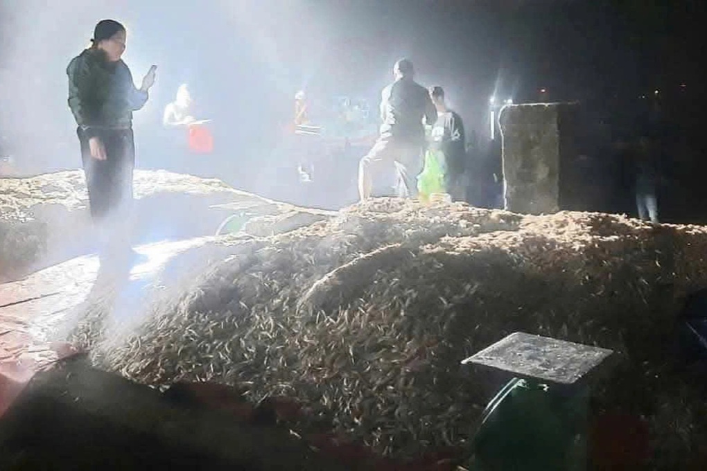 Ra khơi những ngày cận Tết, ngư dân trúng đậm hơn 300 tấn cá nhà nghèo - 1 Ra khơi những ngày cận Tết, ngư dân trúng đậm hơn 300 tấn cá nhà nghèo - 1