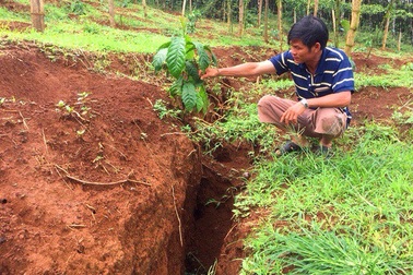 Vết nứt dài khoảng 100m cạnh hồ chứa bùn đỏ nhà máy Alumin