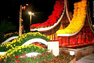 Đường hoa Nguyễn Huệ 2010: Sức mạnh và tình yêu