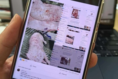 Xôn xao thông tin, hình ảnh heo bệnh bị tố bán ra thị trường ở Sóc Trăng