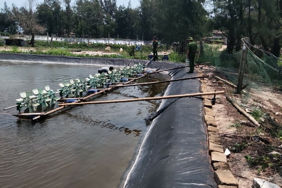 Quảng Trị: 54 vạn tôm giống chết trắng sau một đêm, nghi bị đầu độc - 1 Quảng Trị: 54 vạn tôm giống chết trắng sau một đêm, nghi bị đầu độc - 1