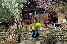 Rủ nhau lên Sapa giữa mùa đông lạnh giá