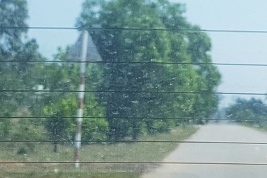 Thừa Thiên Huế cách ly tại nhà 5 người về từ  Vĩnh Phúc