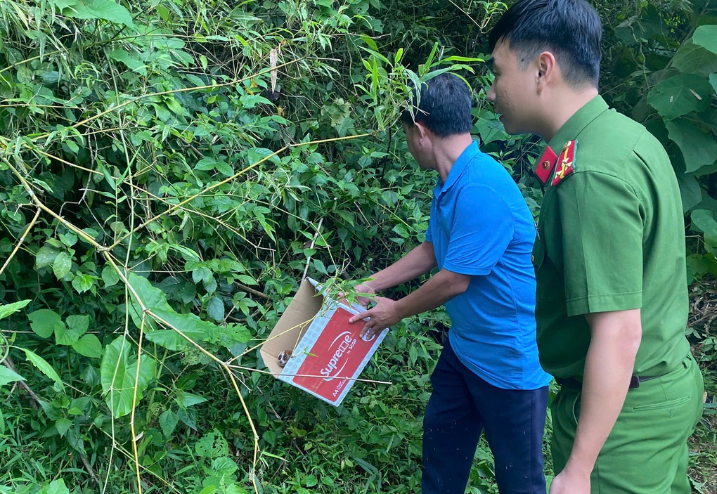 Loài thú bé có đôi mắt to vào nhà trú bão, chủ nhân giao cho công an - 2 Loài thú bé có đôi mắt to vào nhà trú bão, chủ nhân giao cho công an - 2