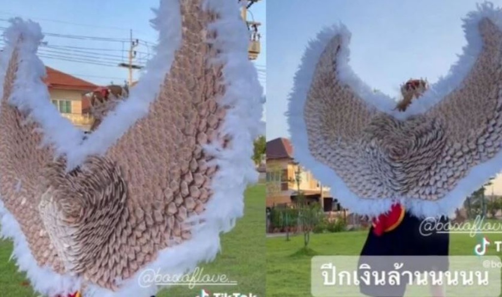 Đại gia Thái Lan chuyển 700 triệu đồng làm bó hoa tiền tặng bạn gái - 5 Đại gia Thái Lan chuyển 700 triệu đồng làm bó hoa tiền tặng bạn gái - 5