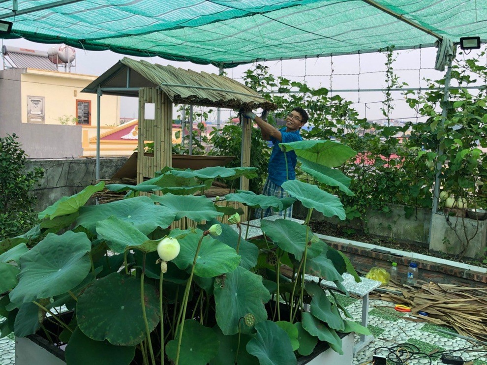 Khu vườn treo 100m2 tươi tốt như rừng nhiệt đới của gia đình Hải Phòng - 5 Khu vườn treo 100m2 tươi tốt như rừng nhiệt đới của gia đình Hải Phòng - 5
