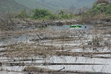 "Mục sở thị" cảnh rác tràn ngập hồ chứa nước Ngàn Trươi