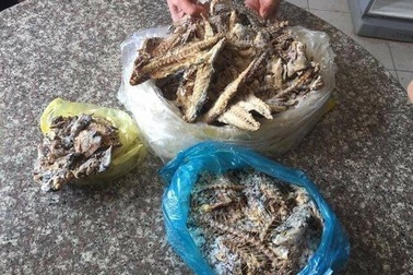 Xôn xao clip cá nục trong bữa ăn của HS có giun