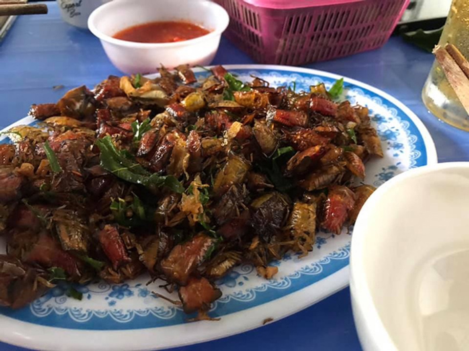 Lộc trời bốc mùi thối nồng nặc, mấy năm nay sốt bán kiếm tiền vèo vèo - 4 Lộc trời bốc mùi thối nồng nặc, mấy năm nay sốt bán kiếm tiền vèo vèo - 4