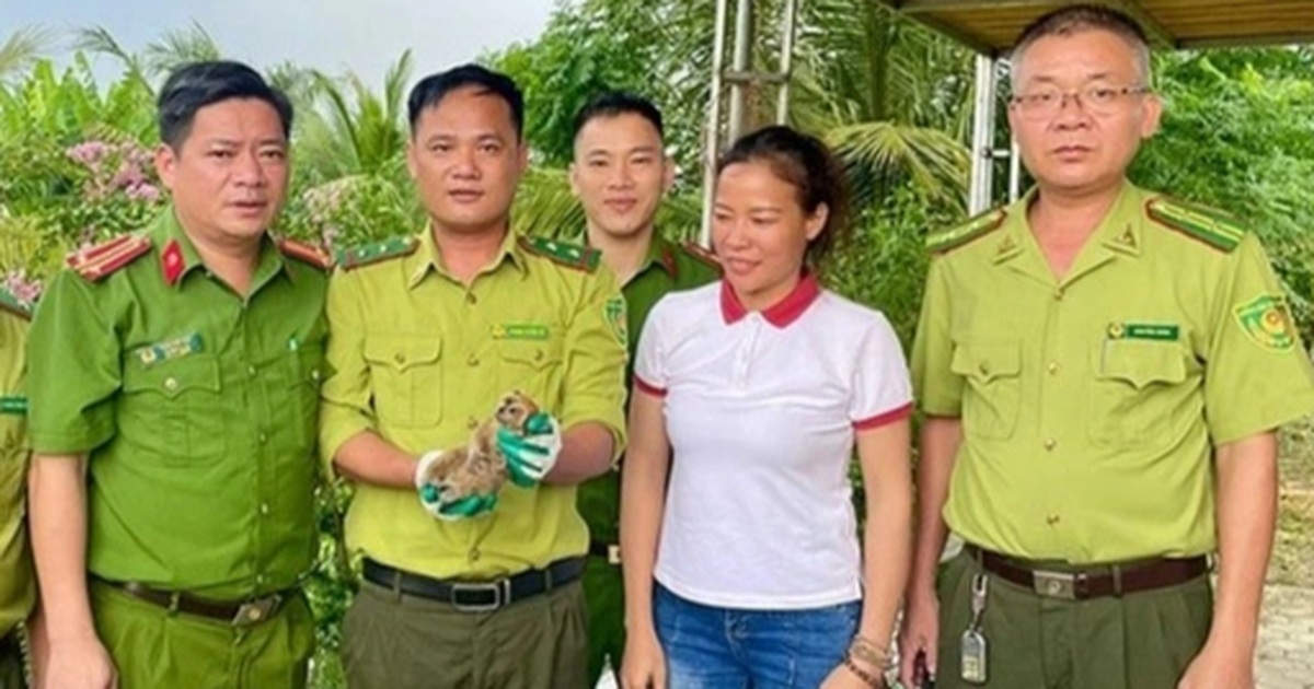 Động vật quý hiếm liên tiếp xuất hiện trong vườn nhà dân