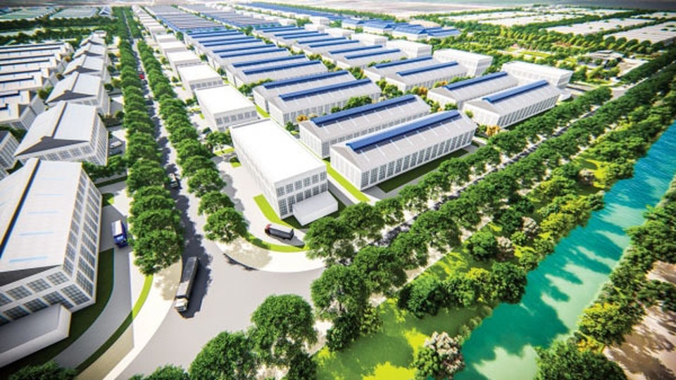 Đại bàng xuất hiện, chuỗi đại gia Nhật, Hàn kéo đến xây tổ - 1 Đại bàng xuất hiện, chuỗi đại gia Nhật, Hàn kéo đến xây tổ - 1