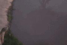 Tưởng như an toàn dưới hồ nước, linh dương bị sư tử bắt gọn