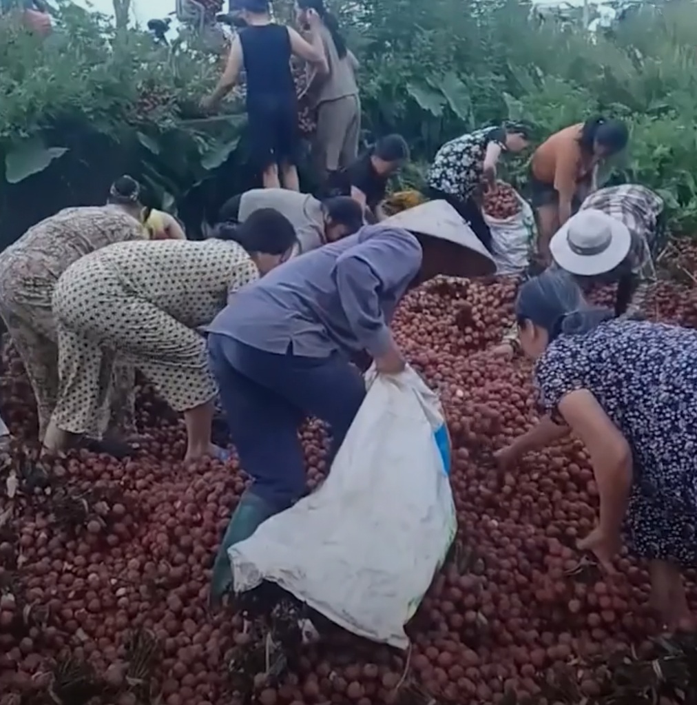 Vụ ô tô chở 4 tấn vải bị lật: Người dân chuyển 40 triệu đồng cho chủ xe - 2