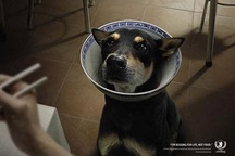 Hàn Quốc vận động người dân từ bỏ thịt chó thế nào?