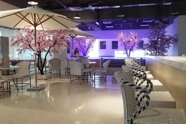 Café bãi biển và ẩm thực theo phong cách Hàn Quốc