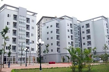 Nhan nhản nhà thu nhập thấp rao cho thuê