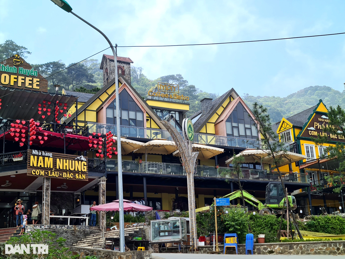 Cận cảnh rừng bê tông ở khu du lịch Tam Đảo - 3
