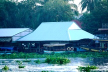 Gia đình các nạn nhân yêu cầu khởi tố chủ doanh nghiệp Dìn Ký 