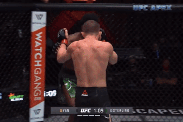 Nhà vô địch UFC bị gọi là "hổ giấy" vì trốn chạy trận tái đấu