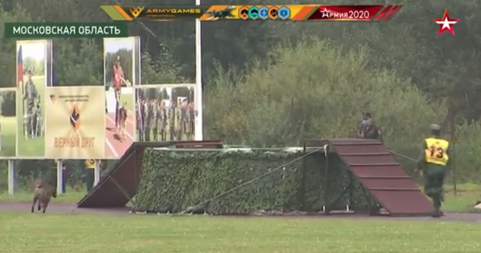 Chó nghiệp vụ Việt Nam bỏ chướng ngại vật nhảy vào nước lạnh ở Army Games - 1 Chó nghiệp vụ Việt Nam bỏ chướng ngại vật nhảy vào nước lạnh ở Army Games - 1