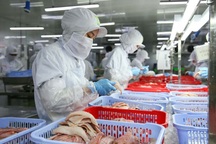 Hạn chế tổn thương cho người lao động: Biến thách thức thành cơ hội