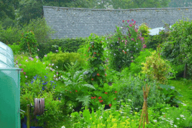 12 tuổi mở kênh Youtube dạy làm vườn, chàng trai nhận kết quả bất ngờ