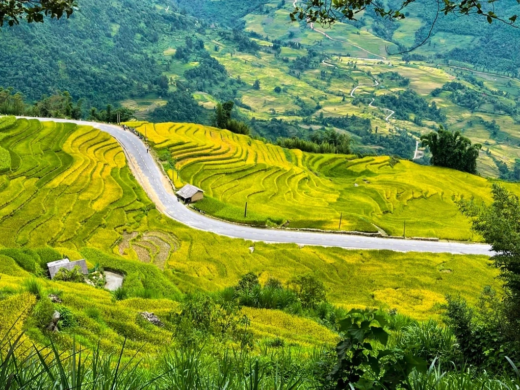 কৃষি এবং পর্যটনের সংমিশ্রণের কারণে লাও কাইয়ের অনেক পরিবার দারিদ্র্য থেকে মুক্তি পেয়েছে - ৩ Nhiều hộ gia đình ở Lào Cai thoát nghèo nhờ kết hợp nông nghiệp - du lịch - 3