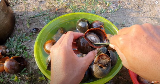 Ốc bươu vàng "to khổng lồ" nướng siêu cay ngon khó cưỡng! - Ảnh 6. Ốc bươu vàng "to khổng lồ" nướng siêu cay ngon khó cưỡng! - Ảnh 6.