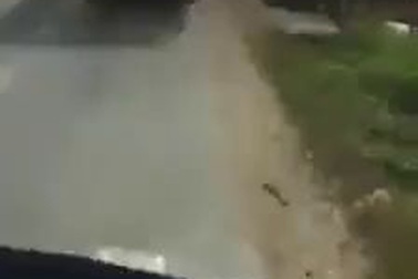 Hai xe tải bóp còi vô tội vạ và chạy chen lấn trên đường hẹp khiến nhiều người bức xúc