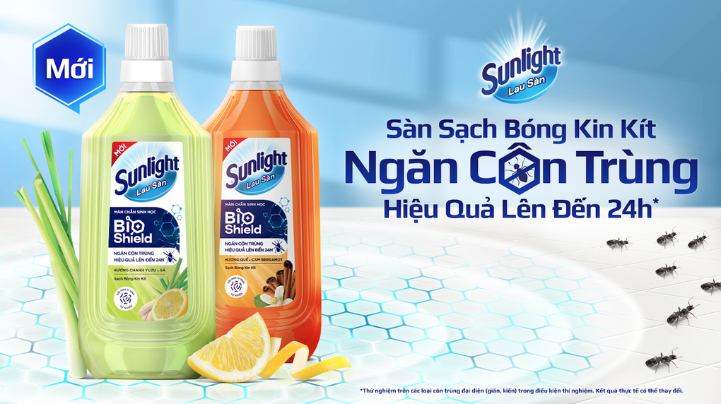 Hội chị em đau đầu tìm cách ngăn côn trùng, giữ nhà cửa sạch sẽ - 4 Hội chị em đau đầu tìm cách ngăn côn trùng, giữ nhà cửa sạch sẽ - 4