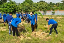 Ngày cao điểm "Chung tay xây dựng nông thôn mới"